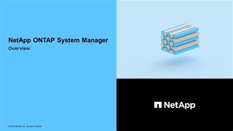 Apply Settings; Step 8. . Netapp ontap 9 network management guide